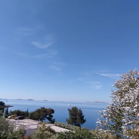 Amazing Villa Galeb In Murter Room photo