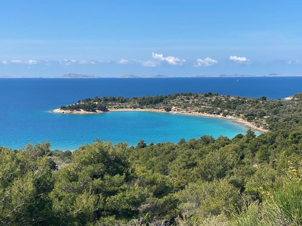 Amazing Galeb In * Murter