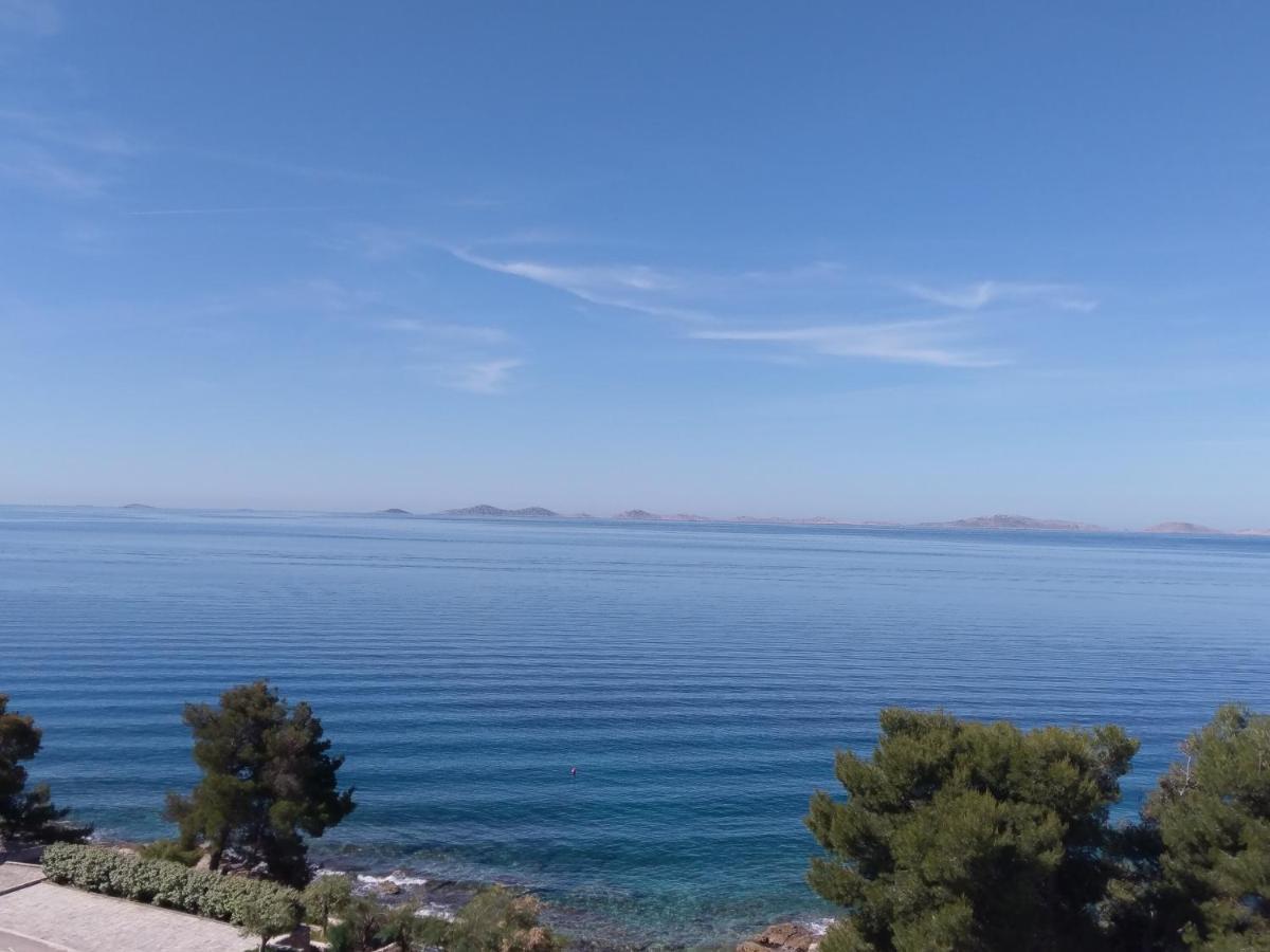 Amazing Galeb In * Murter