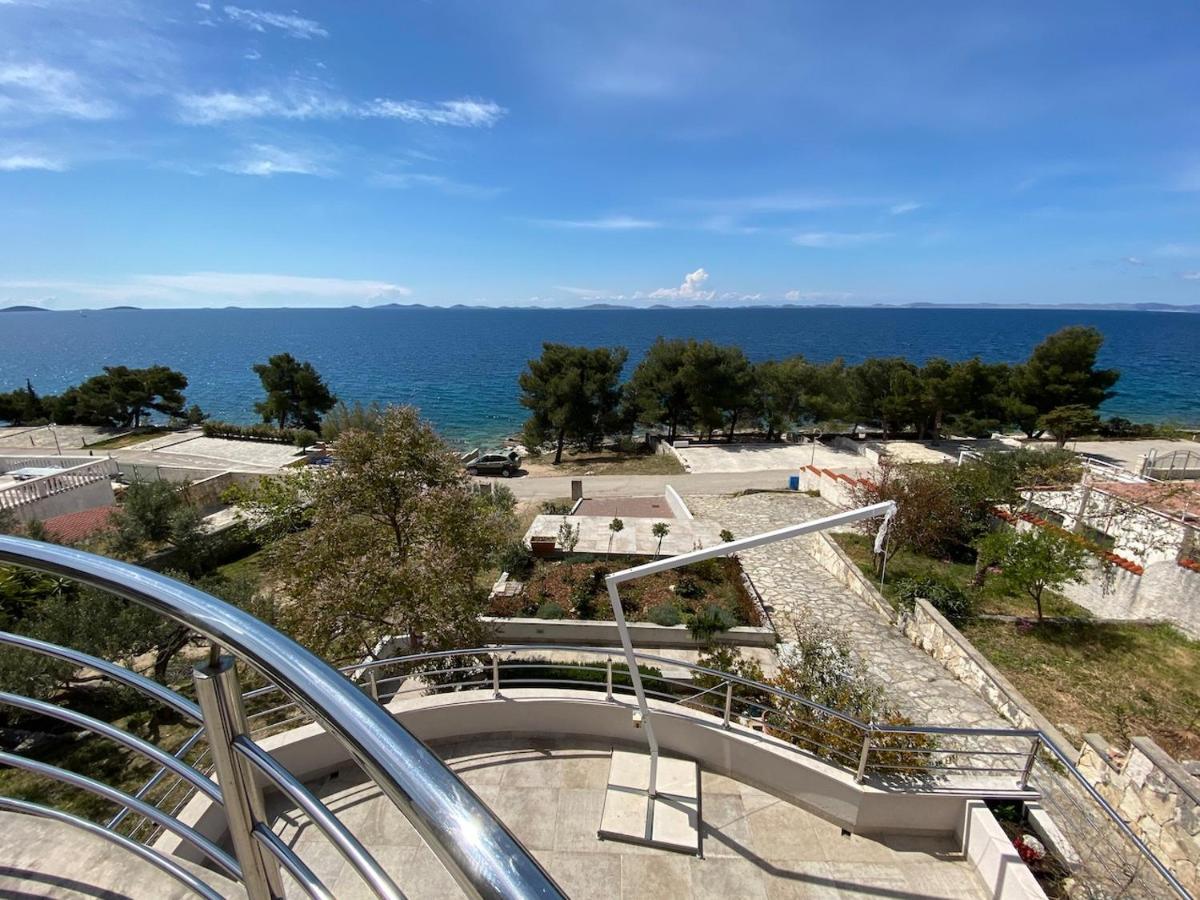 Amazing Galeb In