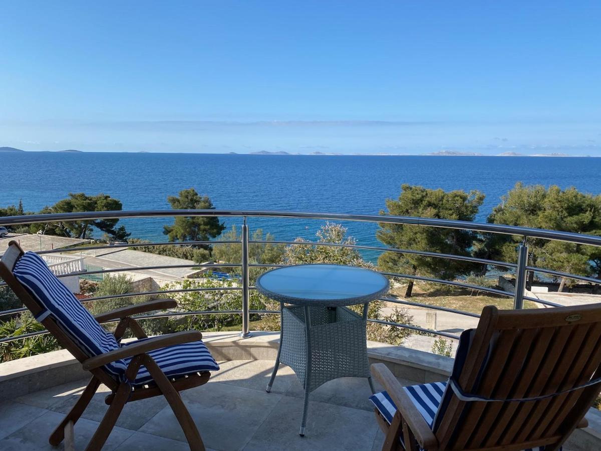 Amazing Galeb In *