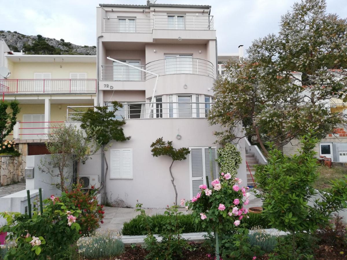 Amazing Galeb In Apartment *