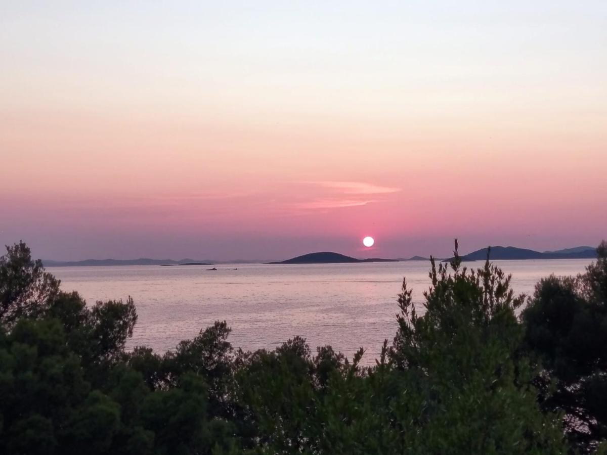 Amazing Galeb In Murter