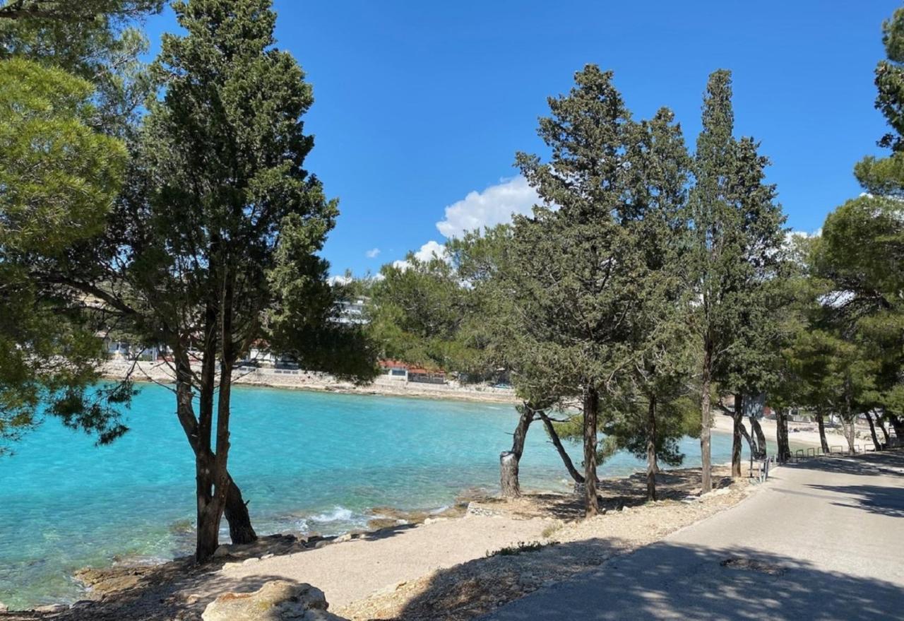 Apartment Amazing Galeb In *