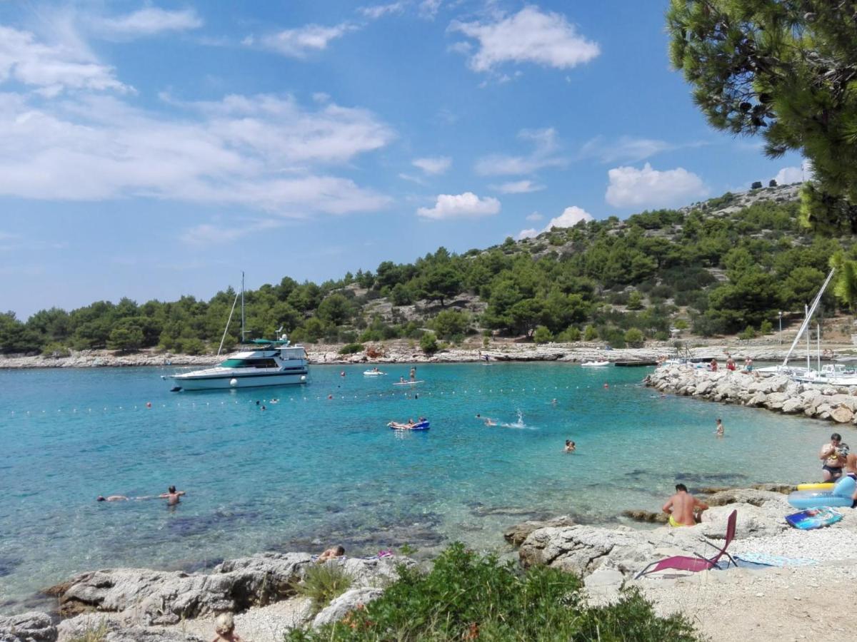 Amazing Galeb In