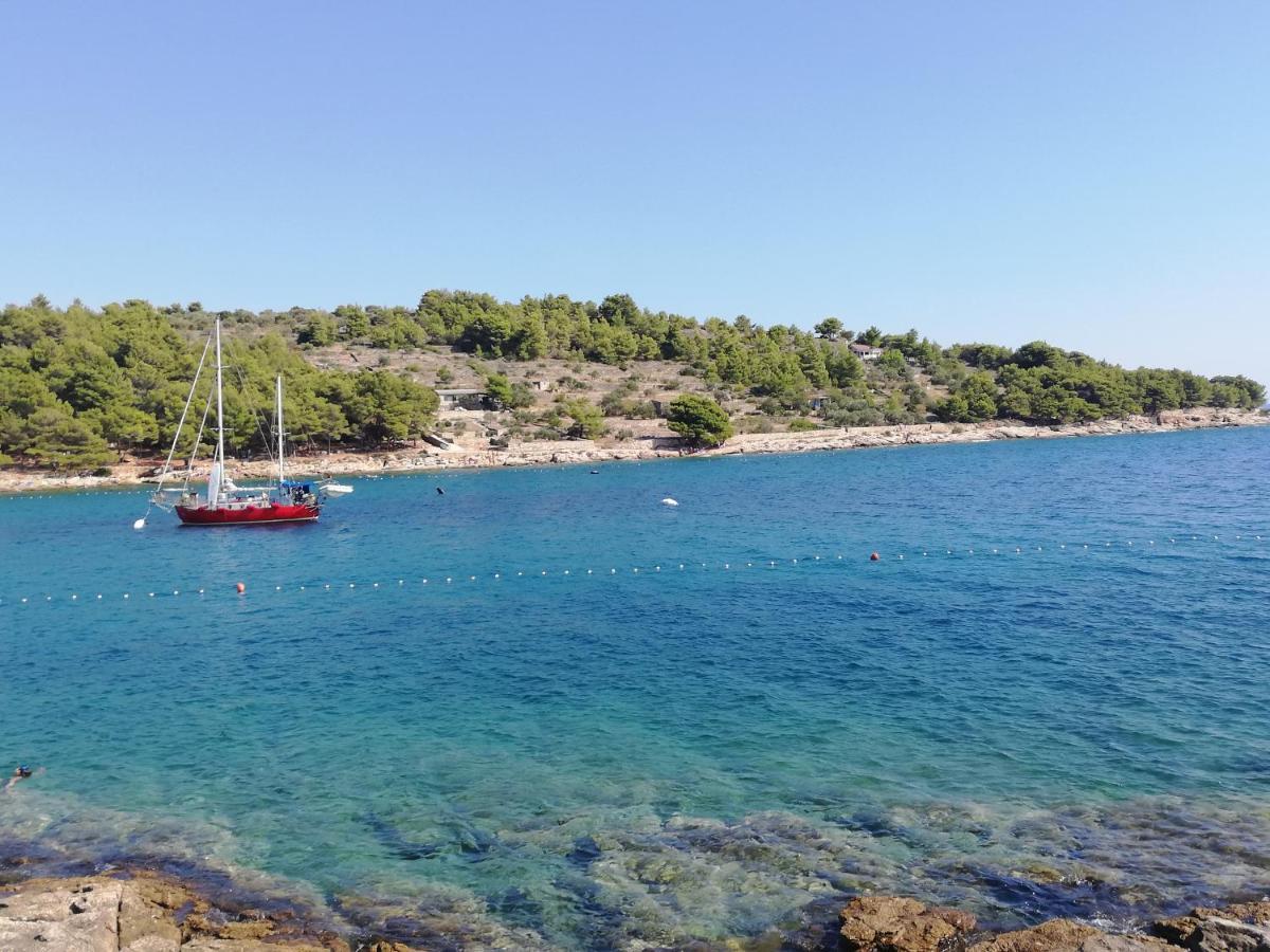 Amazing Galeb In Apartment